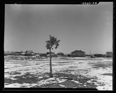 The town of Widtsoe, Utah, 1936