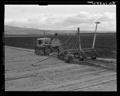 Sugar beet field showing tractor with plowshare attached and operator…, California, 1936