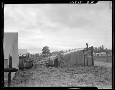 Camps of migrant pea workers. California, 1936