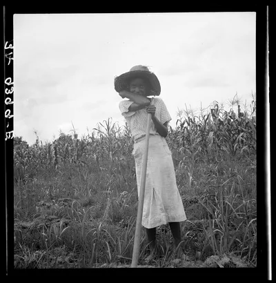 Negro girl working in the fields. Mississippi Delta, 1936