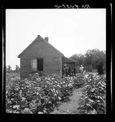Typical cotton picker's shack of the South. Mississippi, 1936