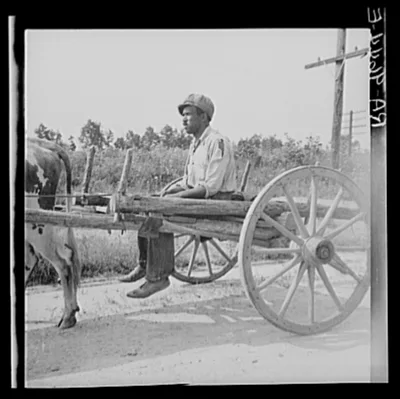 Photograph from Alabama: Transportation in the south. Alabama