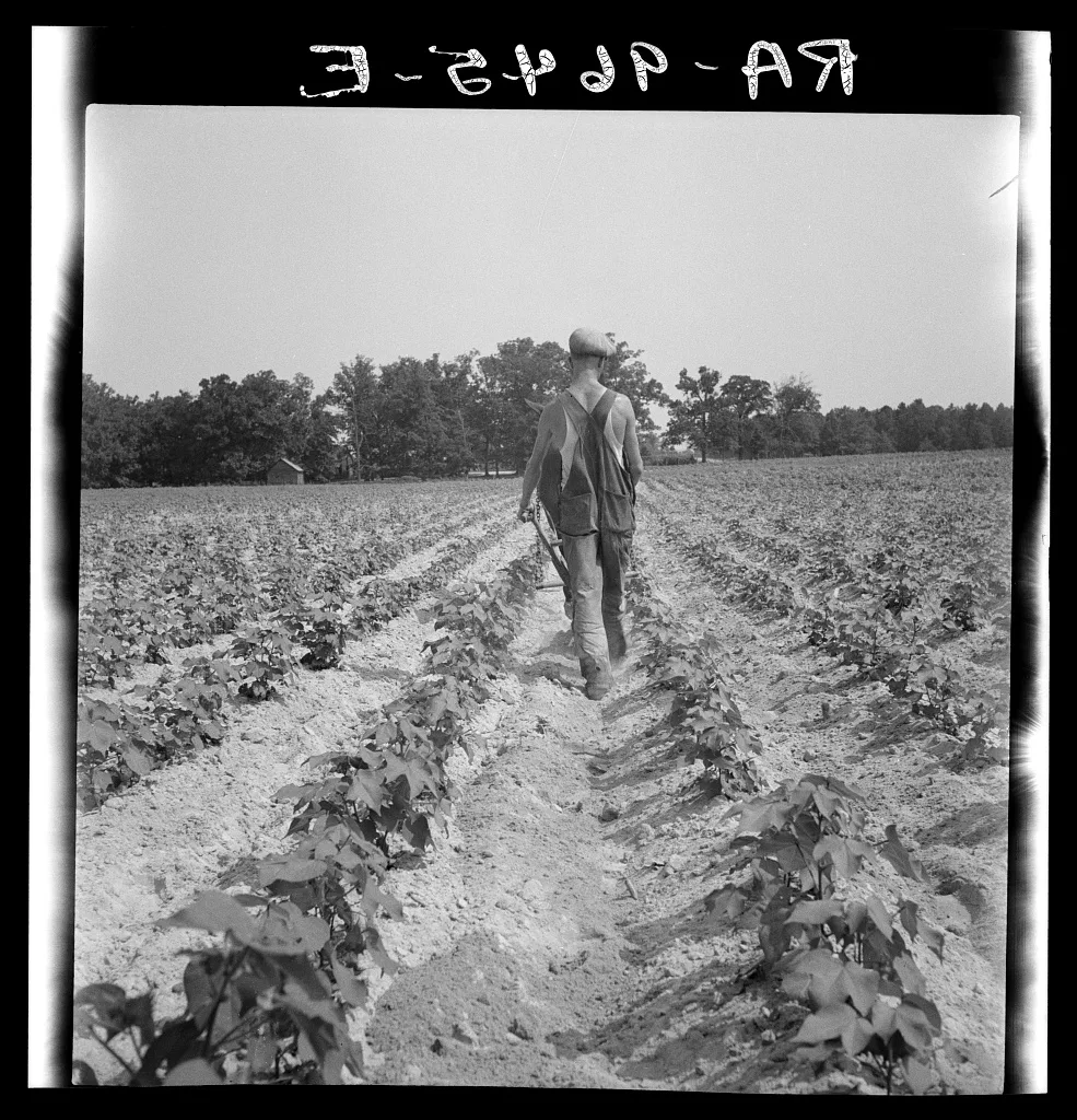 White tenant farmer works on shares. North Carolina, 1936