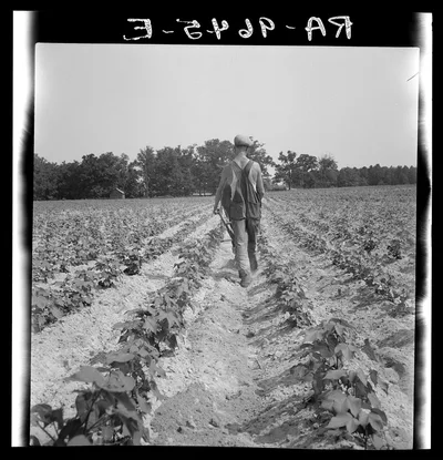 White tenant farmer works on shares. North Carolina, 1936