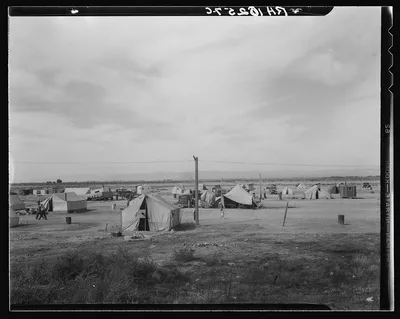Auto camp north of Calipatria, California. Approximately eighty…, 1937