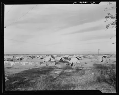 Auto camp north of Calipatria, California. Approximately eighty…, 1937