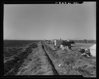 Squatter camp on county road near Calipatria. Forty families from the…, California, 1937