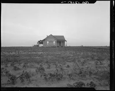 Cotton sharecropper farm, Texas, 1937