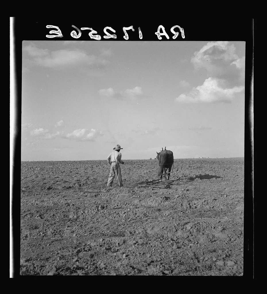 Harrowing. West Texas, 1937