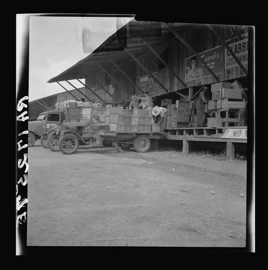 Tomato packing shed for packing and shipment north. Hazelhurst,…, Mississippi, 1937