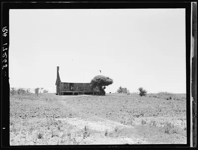 White sharecropper's home. He drives tractors for his present…, Mississippi, 1937