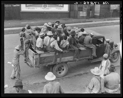Memphis, Tennessee. Cotton hoers are transported to the fields daily…, 1937