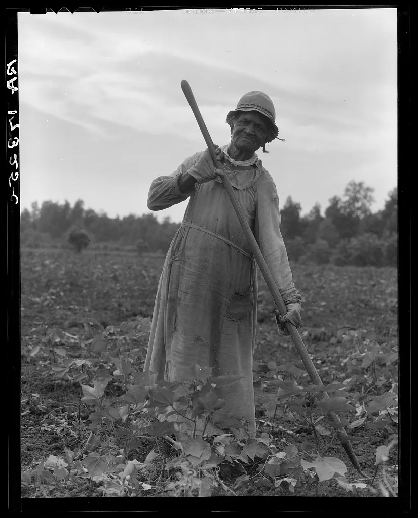 Mississippi Negress hoeing cotton. She was born a slave "two years…, 1937