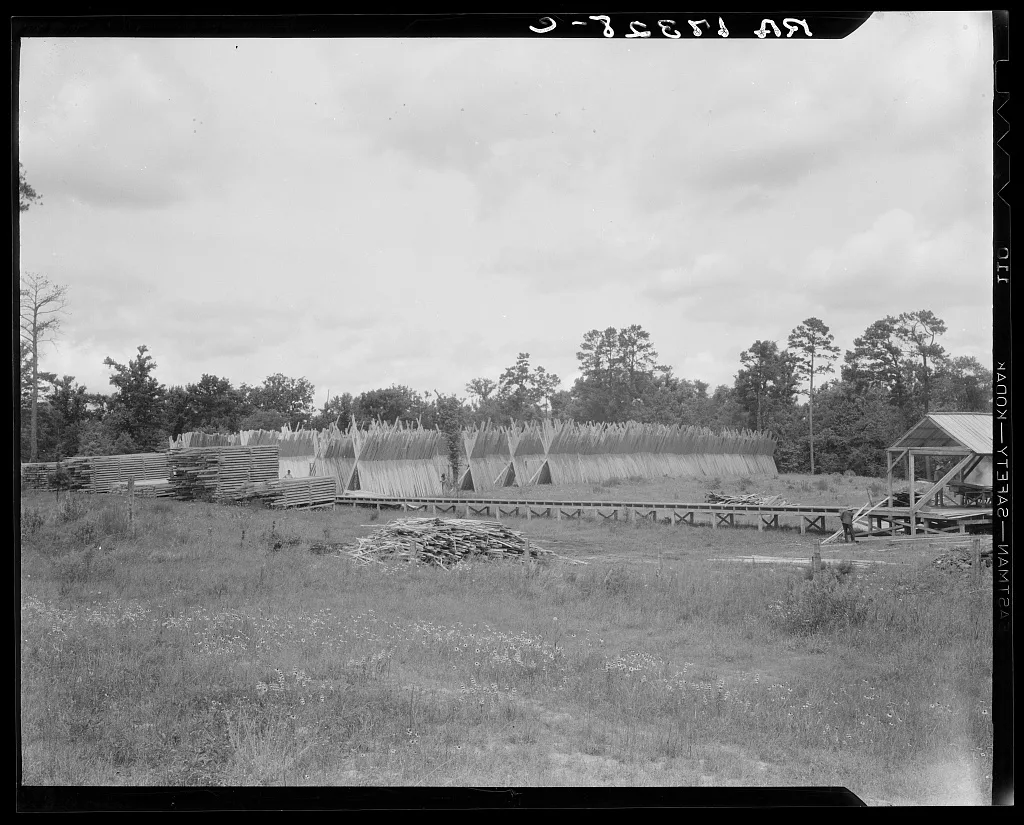 Lumber mill in the piney woods, showing dry stacking. Texas, 1937