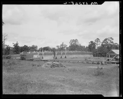 Lumber mill in the piney woods, showing dry stacking. Texas, 1937