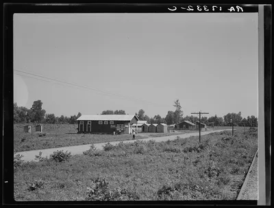 Approach to the Delta cooperative farm from highway, cooperative…, Mississippi, 1937