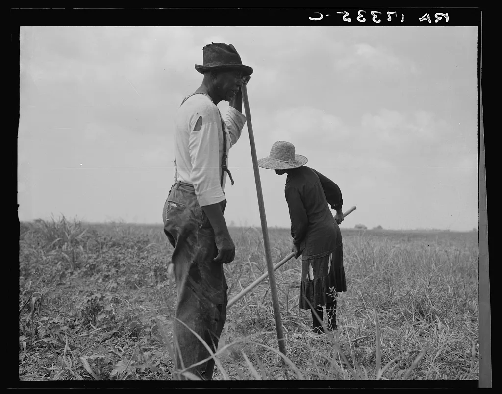 Cotton sharecroppers. Greene County, Georgia. They produce little,…, 1937
