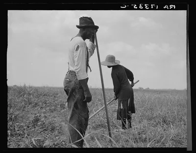 Cotton sharecroppers. Greene County, Georgia. They produce little,…, 1937