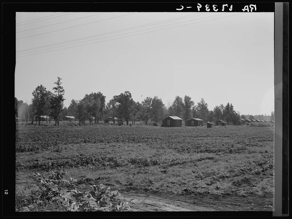 Delta cooperative farms. Hillhouse, Mississippi. Negro cabins are on…, 1937