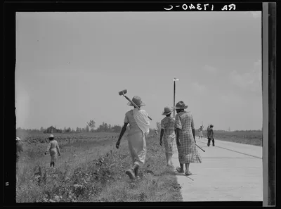 Cotton hoers (day laborers) move from one field across the highway to…, Mississippi, 1937