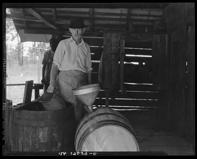 Turpentine worker. Georgia, 1937