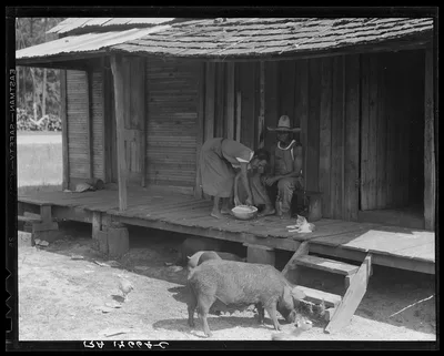 Turpentine worker's home. Georgia, 1937