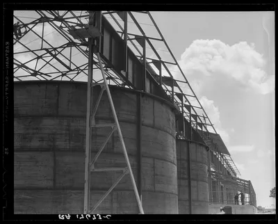 Turpentine still. Georgia, 1937