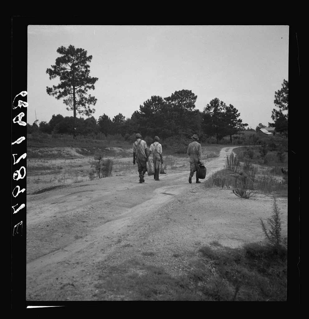 Three turpentine "dippers." Georgia, 1937