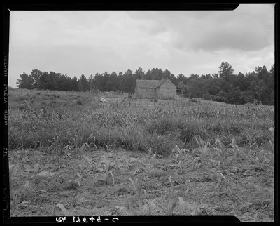 Typical owner-operated small farm of Greene County, Georgia, 1937