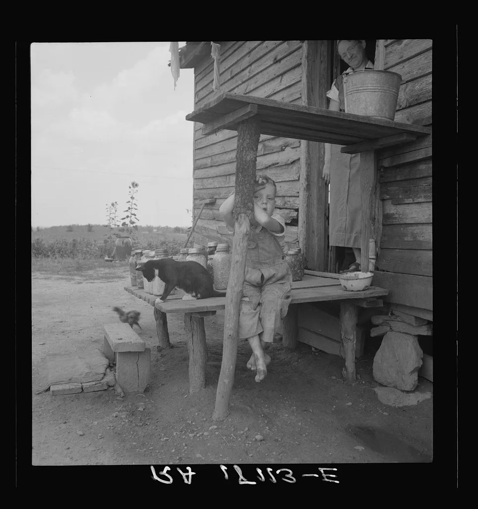Child of sharecropper. Near Gaffney, South Carolina, 1937