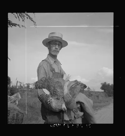 Farmer who has just moved into impoverished Greene County, Georgia…, 1937