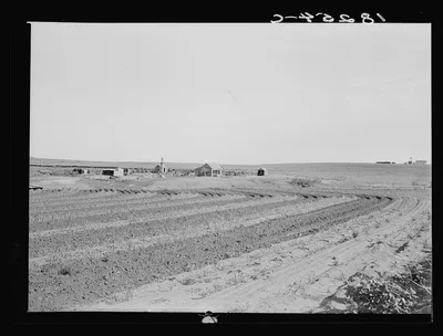 Strip cropping retains water and protects the soil from the wind. On…, Texas, 1938
