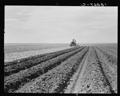 Dust bowl farmer driving tractor with young son, near Cland [i.e.…, New Mexico, 1938