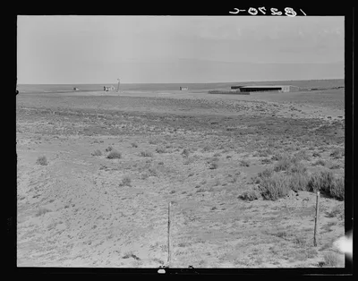 Great Plains homesteads, showing sheep barn. Near Cland [i.e.…, New Mexico, 1938