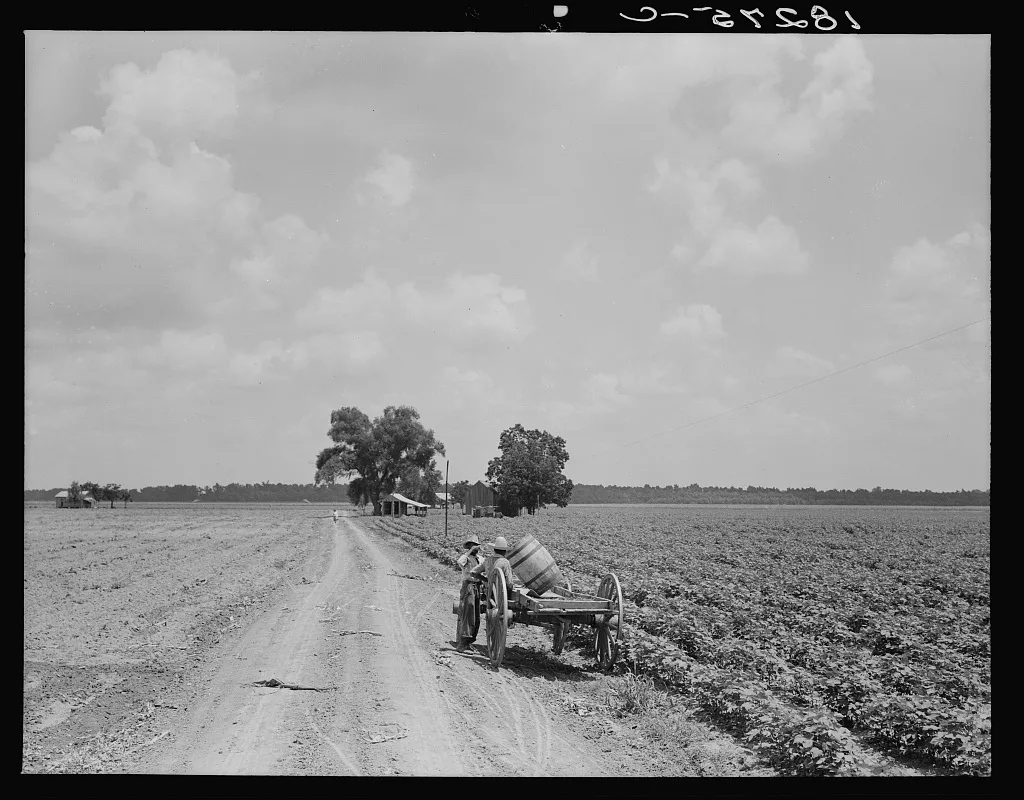 Plantation of Brazos riverbottoms. Texas, 1938