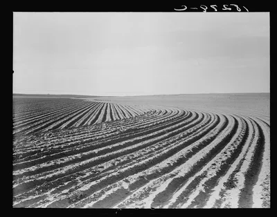 Contour plowing on mechanized farm of the Texas Panhandle, 1938