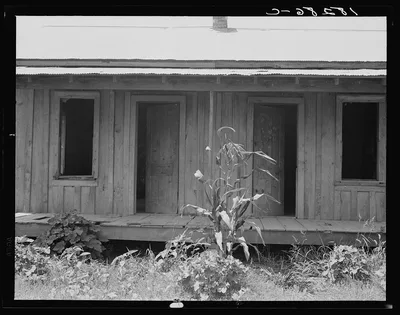 Mechanization in the Arkansas Bottoms was beginning to expel farm…, 1938
