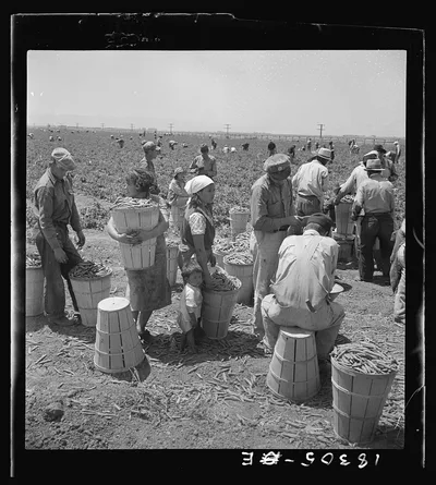 Migrant pea pickers from many states line up with their filled…, California, 1938