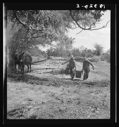 Sorghum mill near New Carthage, Mississippi, 1938