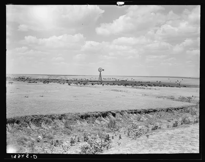 Cattle range on the high plains of the Texas Panhandle, 1938