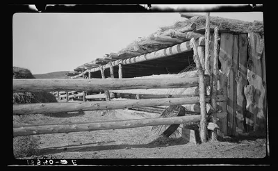 Corral near Cordova, New Mexico, 1935