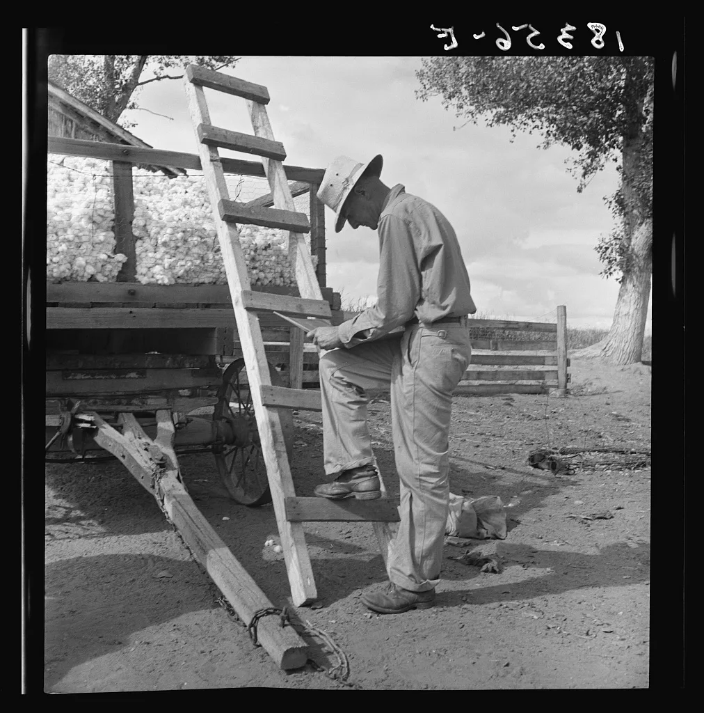 Small cotton farmer stays at the wagon and keeps acocunt of the…, California, 1938