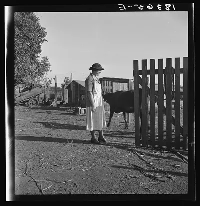 Wife of Farm Security Administration rural rehabilitation client.…, California, 1938