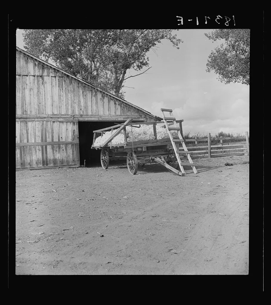 Yard barn and cotton wagon on small California cotton farm. Kern…, 1938