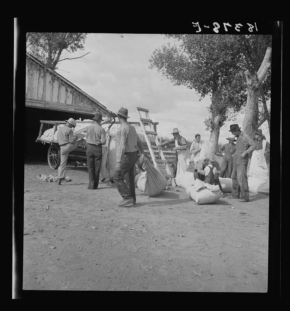 Migratory cotton pickers on small cotton farm, Kern County,…, California, 1938