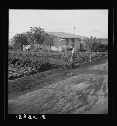 Type house at Garden Homes, Arvin (Kern County) California. This is…, 1938
