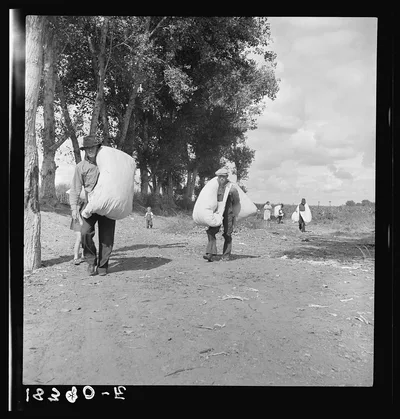 Pickers leaving the cotton field at noontime. Small cotton farm, Kern…, California, 1938