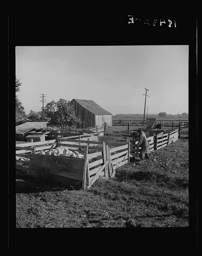 [Untitled photo, possibly related to: Farmyard of rural…, California, 1938