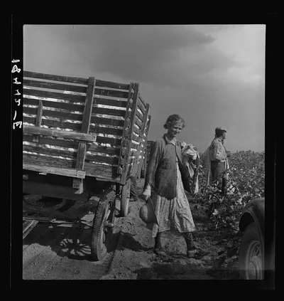 Migratory cotton pickers have stopped working because it started to…, California, 1938