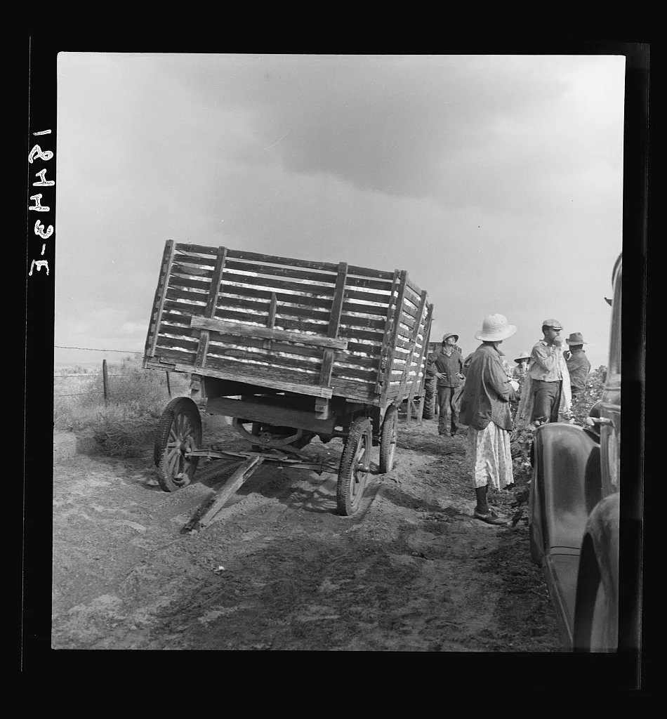 Migratory cotton pickers have stopped working because it started to…, California, 1938